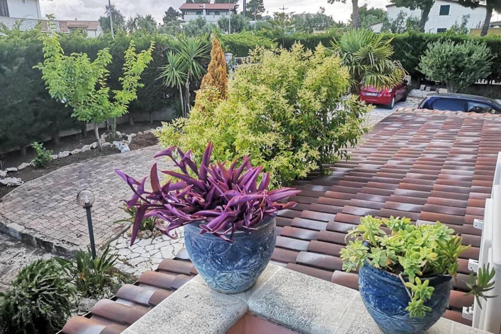 Villa Arenella Vieste Dış mekan fotoğraf