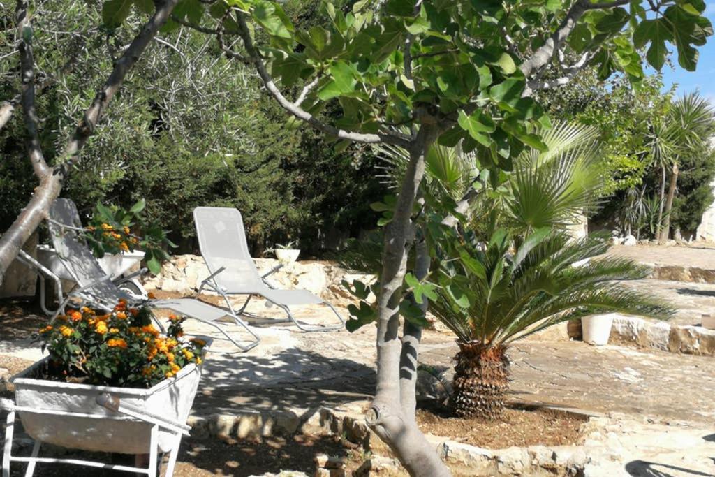 Villa Arenella Vieste Dış mekan fotoğraf