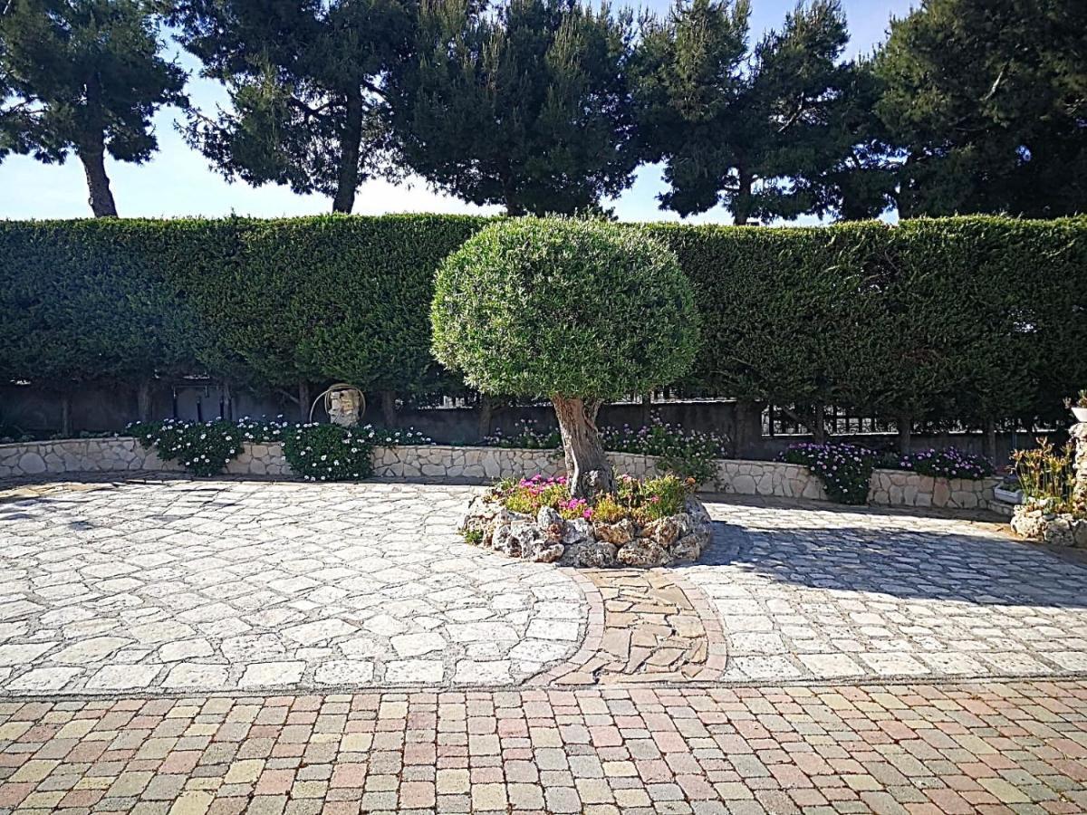 Villa Arenella Vieste Dış mekan fotoğraf